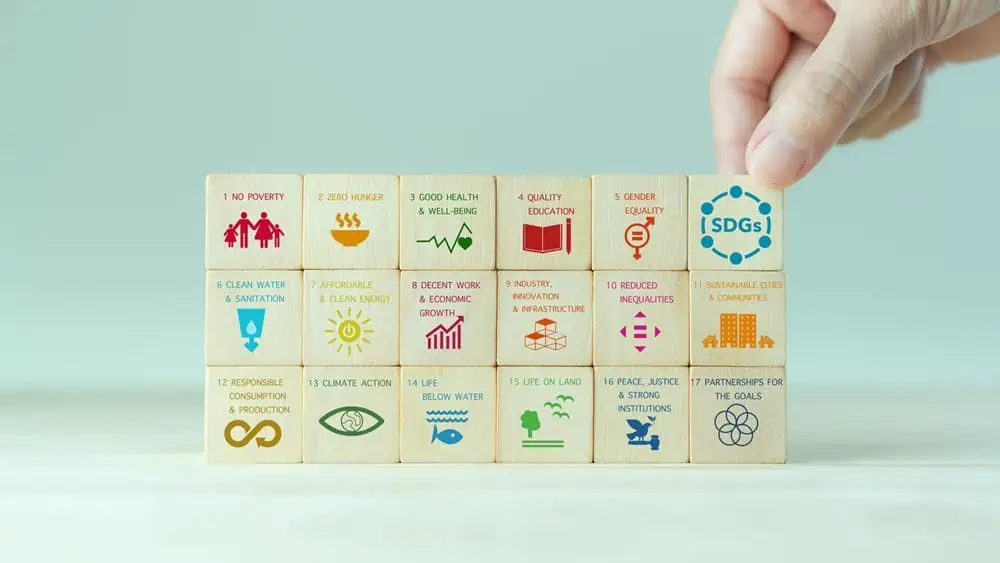 sustainable business