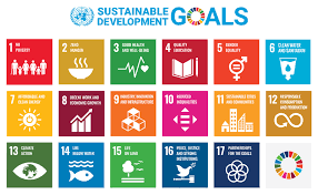 Apa itu SDGs: Pengertian, Tujuan & Contoh Implementasinya